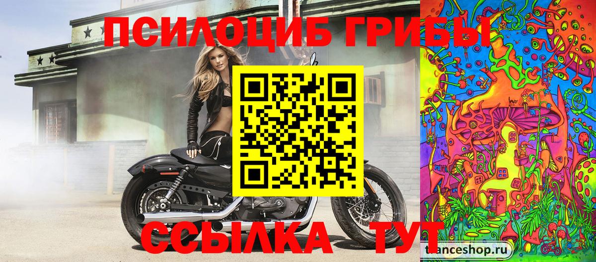 Галлюциногенные грибы мицелий Советский